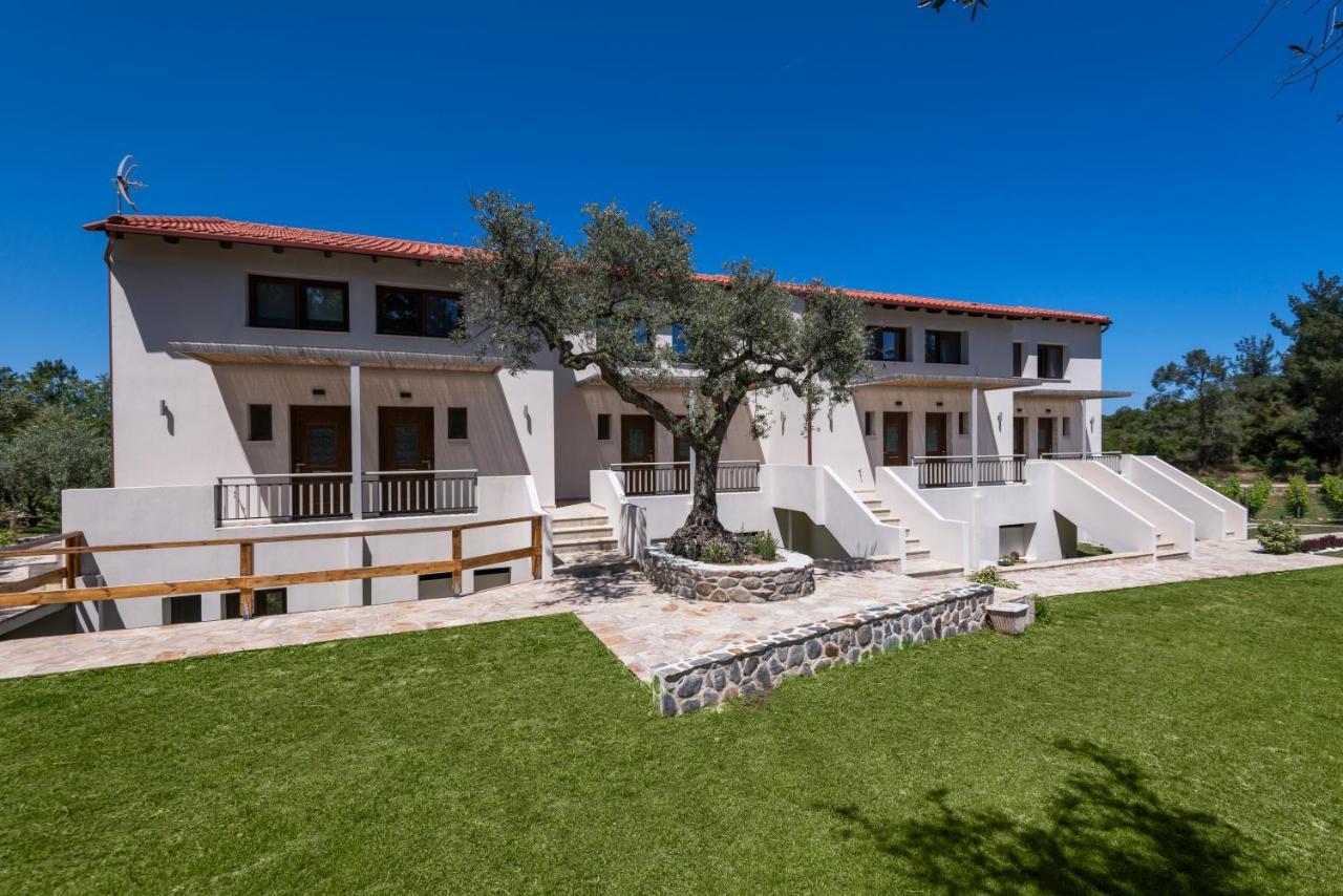 Dionysus Apartments & Suites Ierissós Buitenkant foto