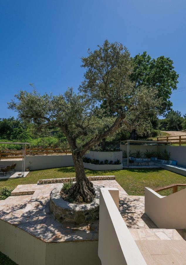 Dionysus Apartments & Suites Ierissós Buitenkant foto