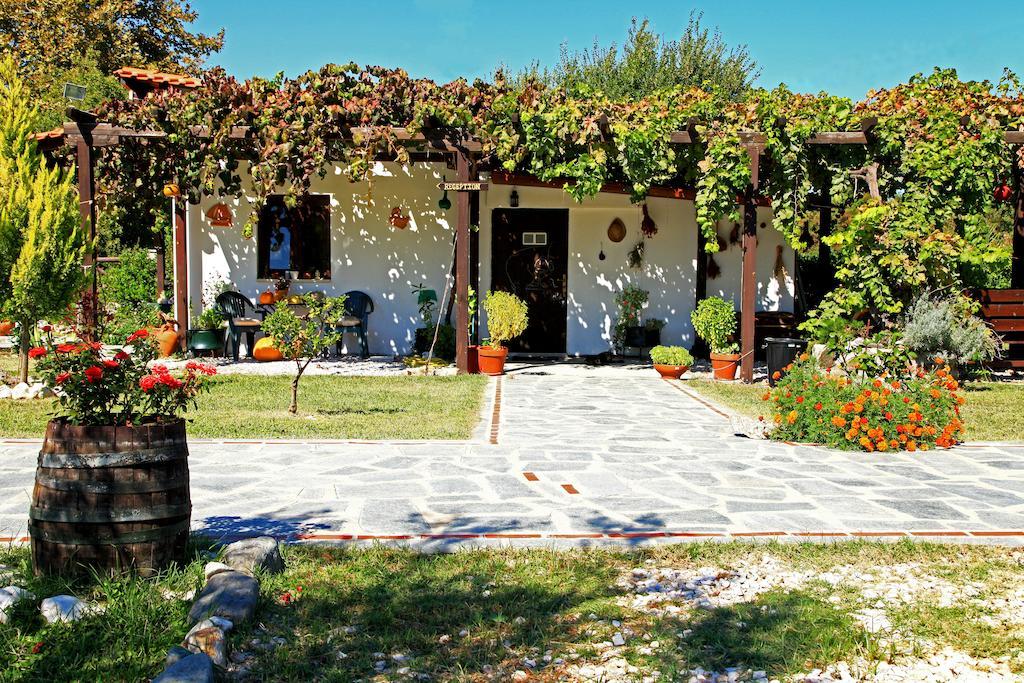 Dionysus Apartments & Suites Ierissós Buitenkant foto