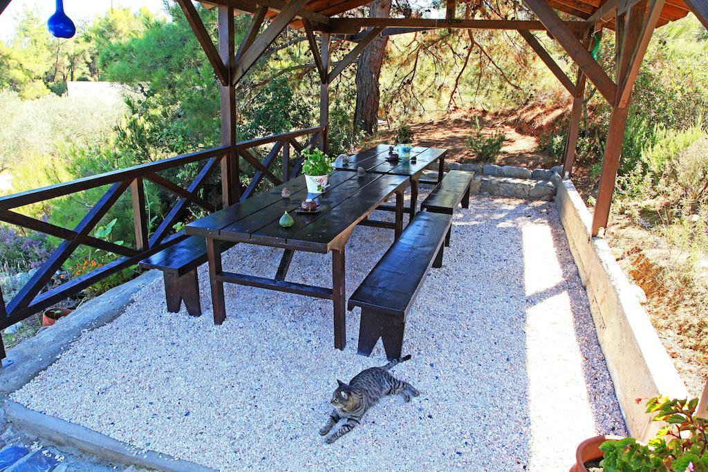 Dionysus Apartments & Suites Ierissós Buitenkant foto
