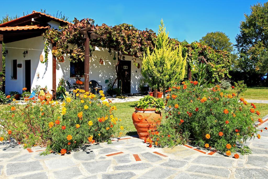 Dionysus Apartments & Suites Ierissós Buitenkant foto